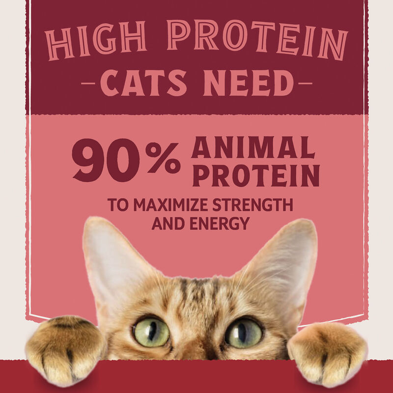 Natural Balance, Ultra Protein - Salmon & Organ Meats Pate Recipe - Wet Cat Food image number null