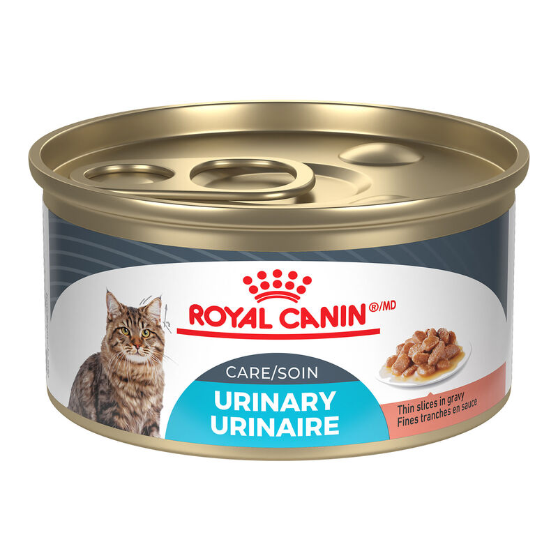 Royal Canin, Feline Care Nutrition Urinary Care - Wet Cat Food image number null