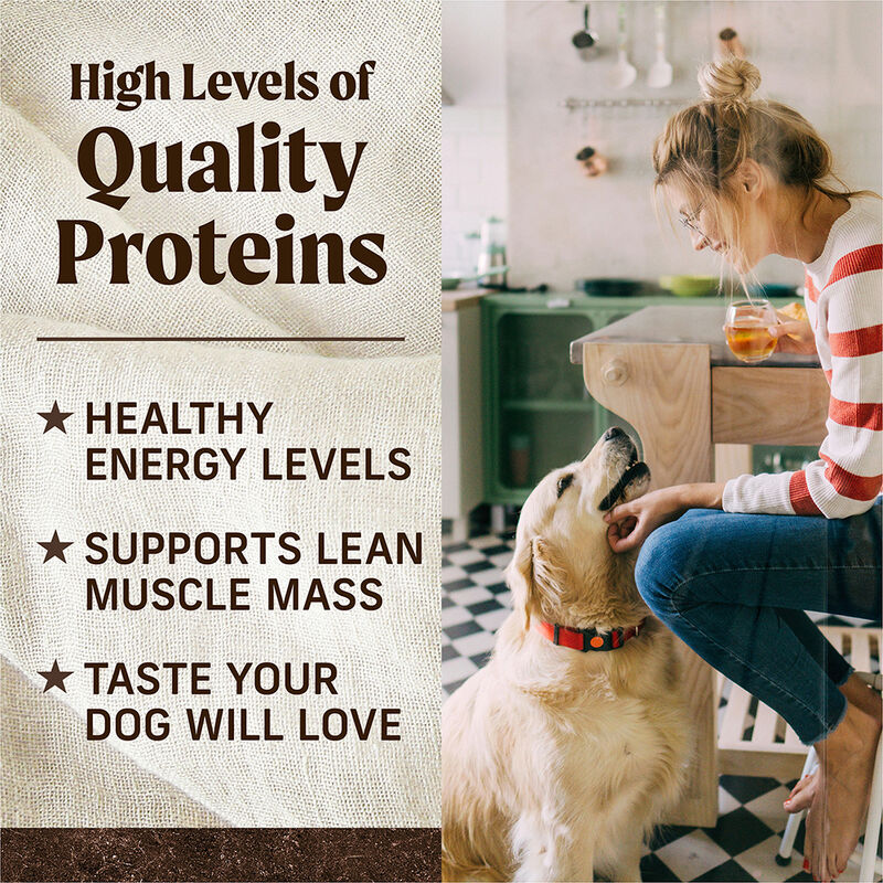 Merrick, Puppy - Grain Free Chicken & Sweet Potato - Dry Dog Food image number null