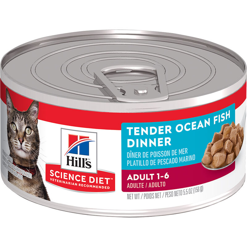 Science Diet, Can, Feline Adult - Ocean Fish - 156 g - Wet Cat Food image number null