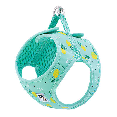 RC Pets, Step In Cirque Harness - Pineapple Parade
