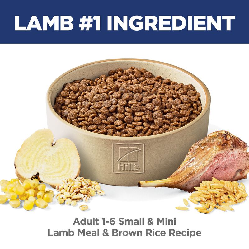 Science Diet, Adult Small & Mini Lamb Meal & Brown Rice Recipe Dry Dog Food image number null