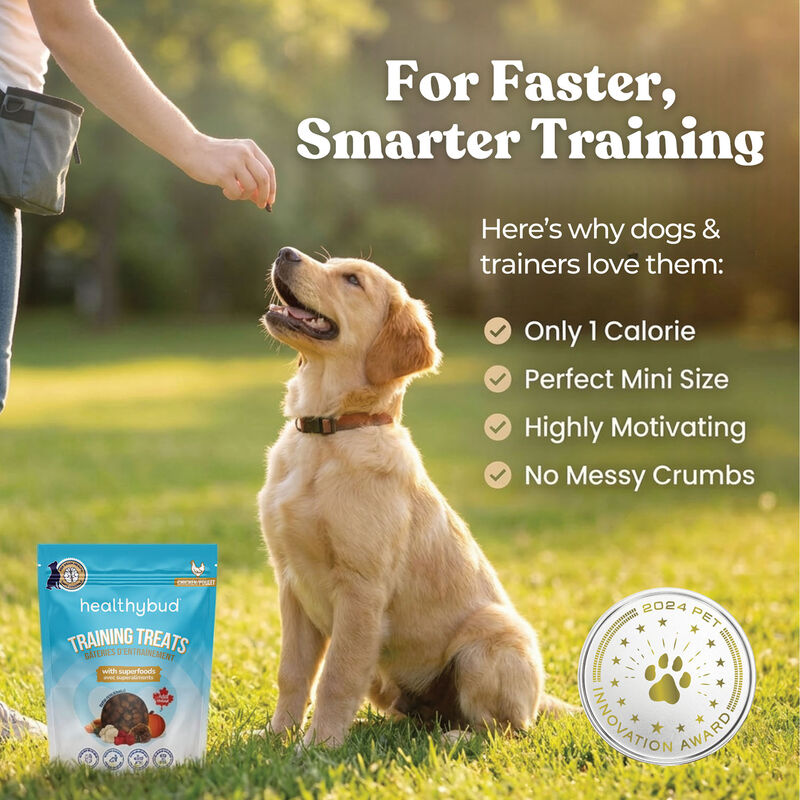 Healthybud, Chicken Mini Training Treats with Superfoods image number null