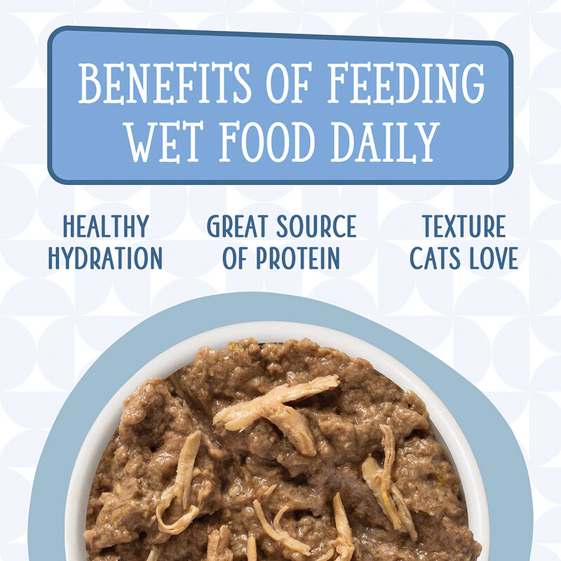 Weruva, Can Feline -Splash Dance-Ckn&Ocean Fish-170g - Minced - Wet Cat Food image number null