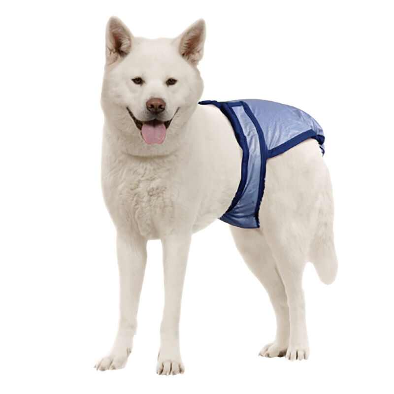 Pooch Pad, PoochPants - Diaper - X-Small - 4 - 8 lbs image number null