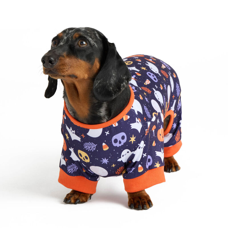 Halloween Print Onesie Pajamas for Dogs image number null
