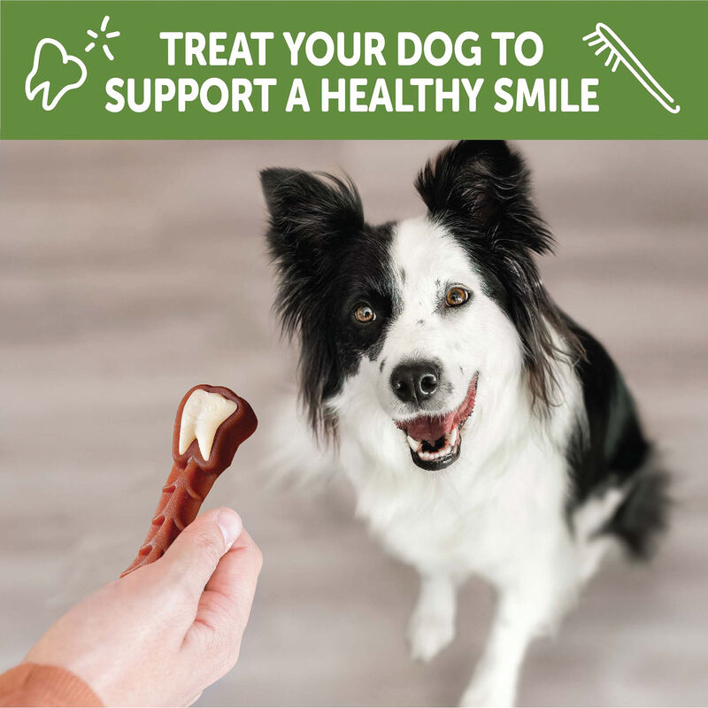 Whimzees, Dental Treat - Value Box - Medium Dog image number null