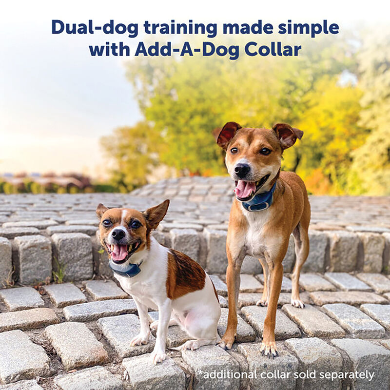 PetSafe, 600 m Remote Trainer - 2 dogs image number null