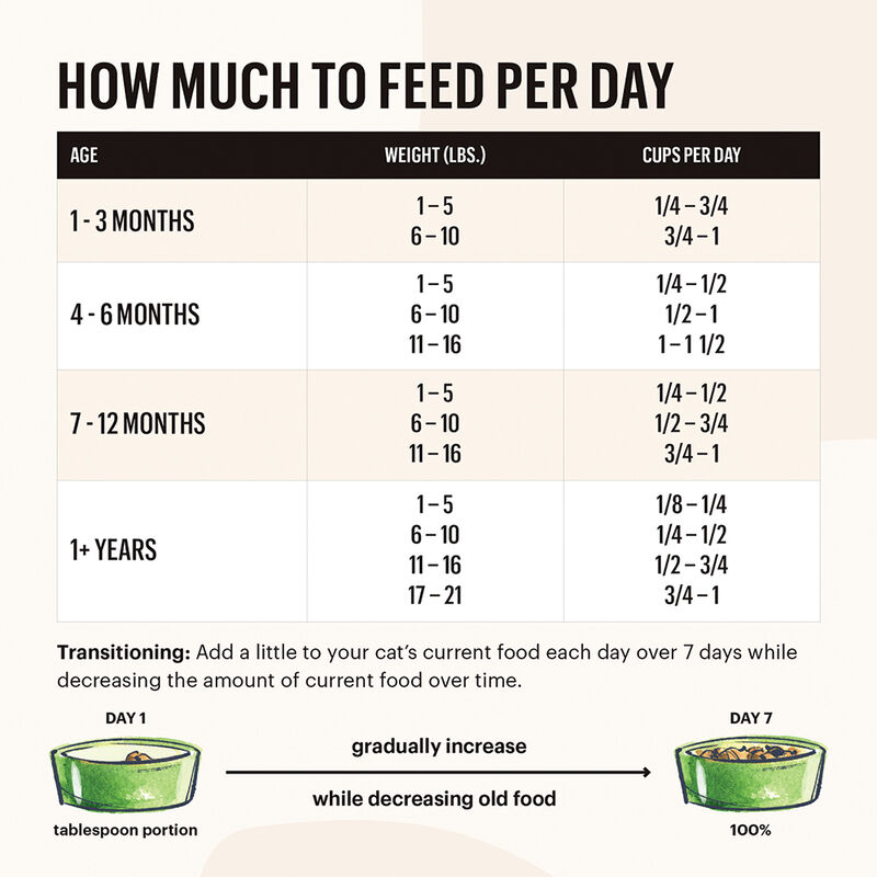 The Honest Kitchen, Grain Free Whole Food Clusters, Turkey & Chicken Recipe - Dry Cat Food image number null