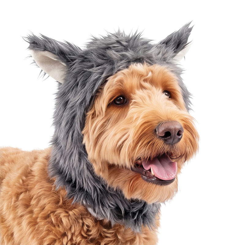 Silver Paw Wolf Hood Dog Costume image number null