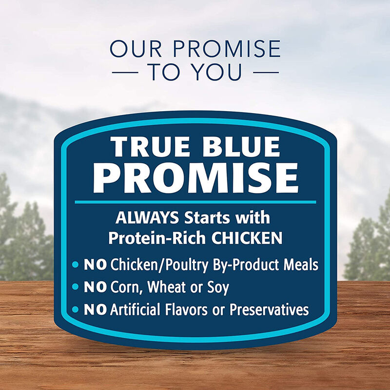 Blue Buffalo, Wilderness, Grain Free Chicken Canned Kitten Food - 85 g - Wet Cat Food image number null