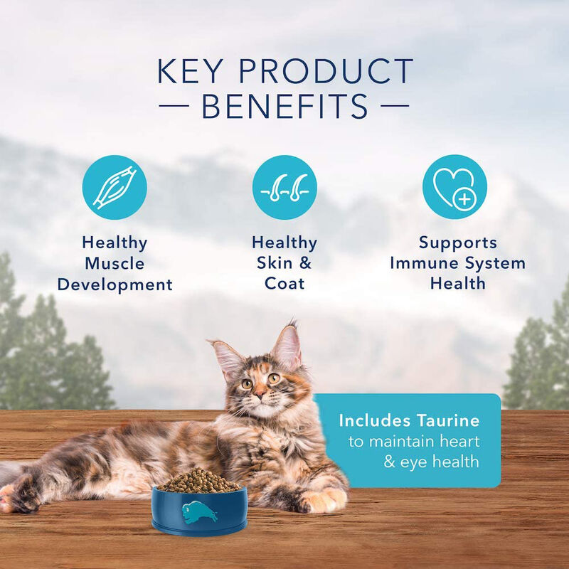 Blue Buffalo, Feline Adult - Wilderness - Salmon - 2.2 kg - Dry Cat Food image number null