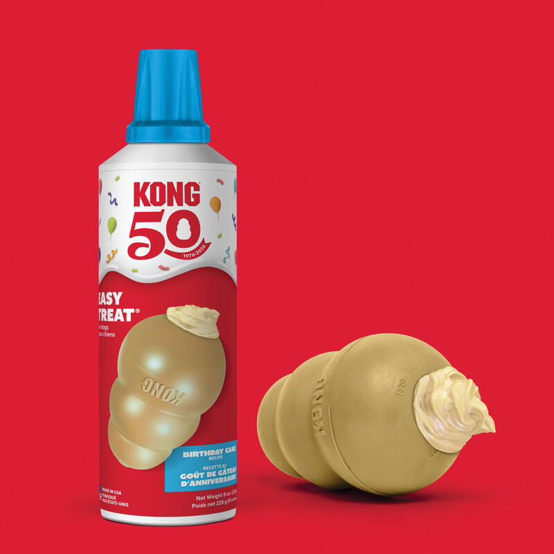 KONG Easy Treat Birthday Cake Recipe Dog Treat - 226 g image number null