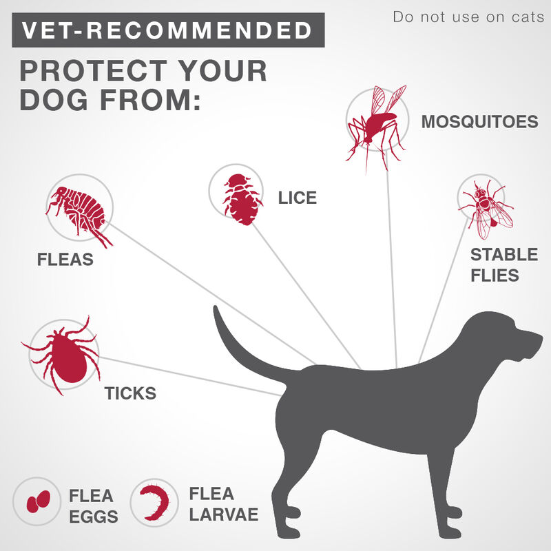 K9 Advantix II, Small Dog Flea & Tick Treatment & Protection, <4.5kg image number null