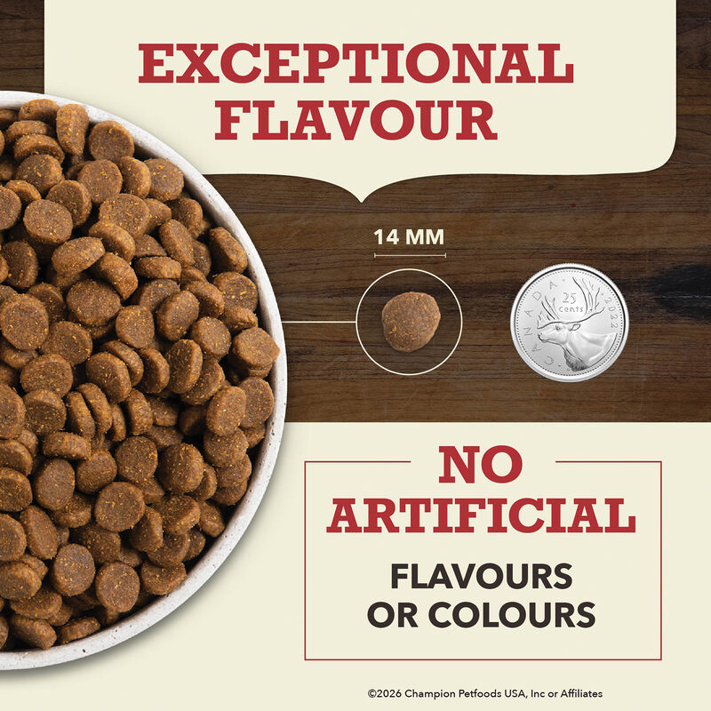 Acana, Red Meat Recipe - Dry Dog Food image number null