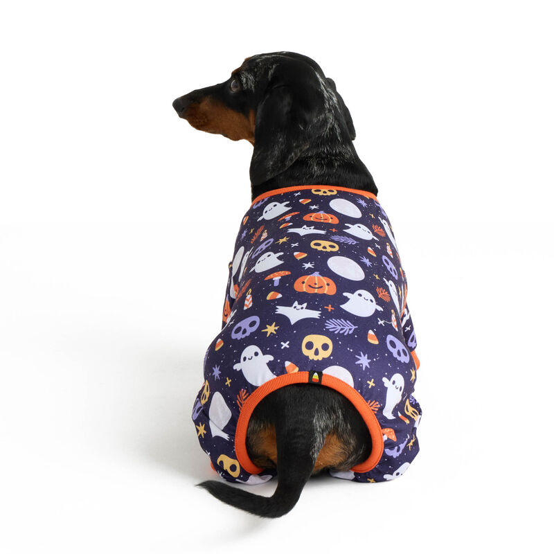 Halloween Print Onesie Pajamas for Dogs image number null