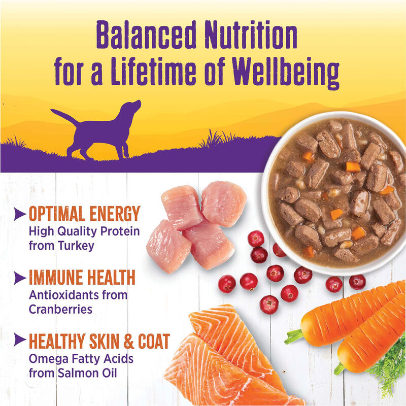 Wellness, Canned Dog Food, Chunks & Gravy, Turkey Stew with Barley & Carrots - 12.5 oz - Wet Dog Foo image number null