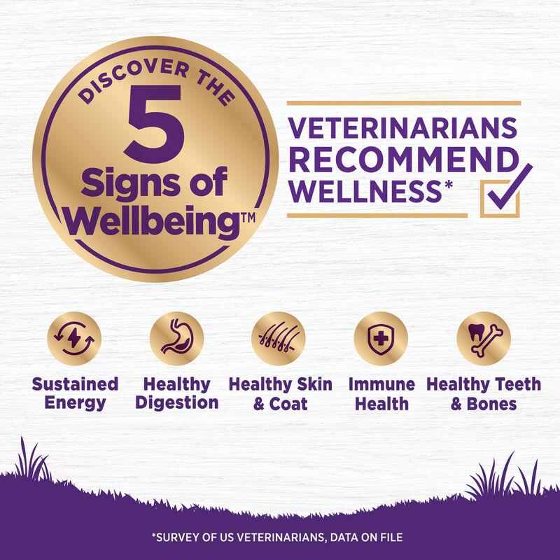 Wellness, Complete Health, Puppy Deboned Chicken, Oatmeal & Salmon - Dry Dog Food image number null