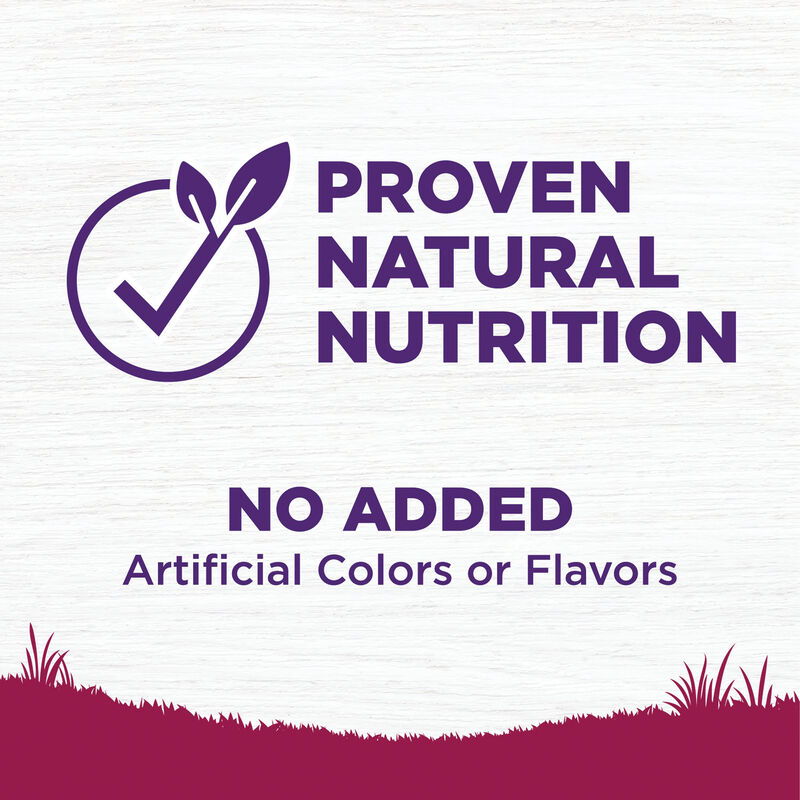 Wellness, Complete Health Small Breed, Turkey & Oatmeal - Dry Dog Food image number null
