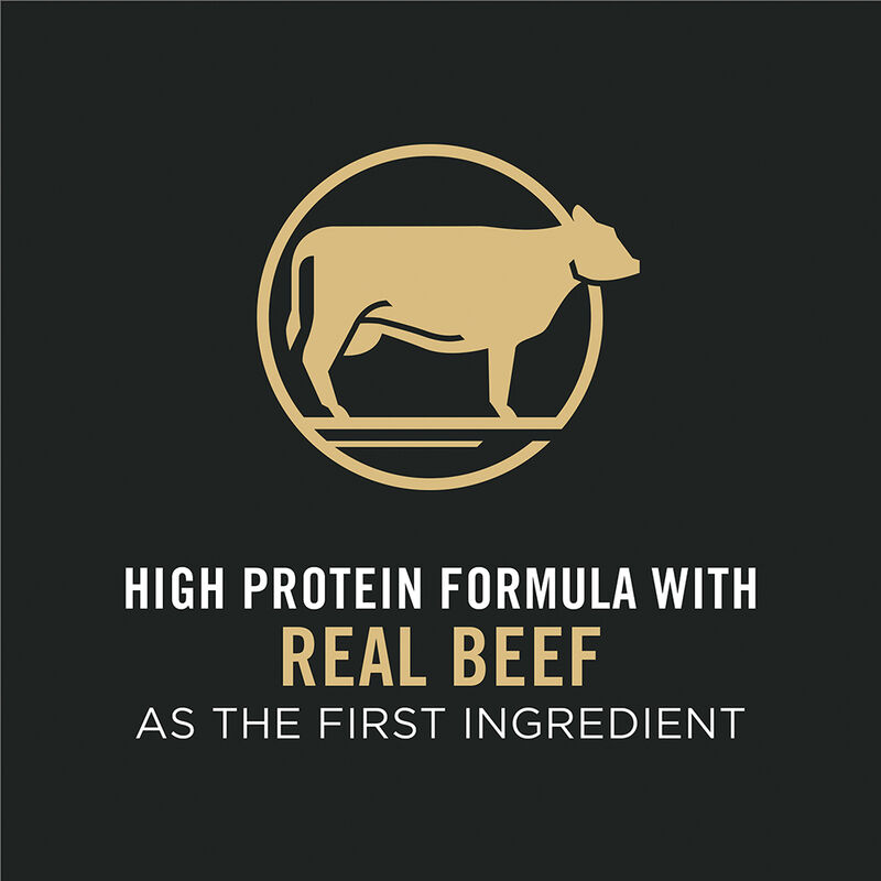 Pro Plan, Adult - Shredded Blend - Beef & Rice - 2.72 kg - Dry Dog Food image number null