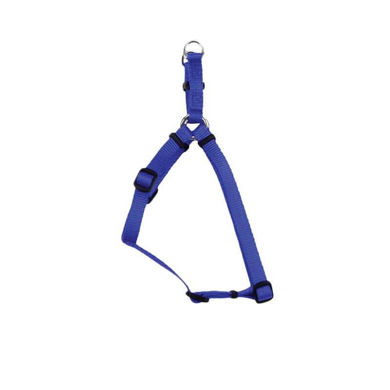 Adjustable Dog Harness, Blue, Extra Small - 3/8" x 12"-18" image number null