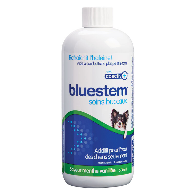 Bluestem, Vanilla Mint Water Additive &ndash; 500 ml &ndash; Dog Dental image number null