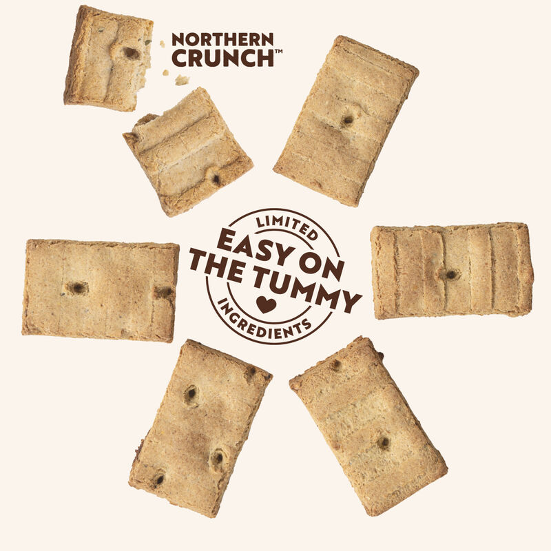 Northern Biscuit, Wheat Free Canadian Bacon with Blueberries - 1.36 kg - Dog Biscuit image number null