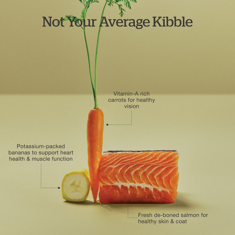 Good Gravy - Salmon Coated in Bone Broth - Dry Cat Food image number null