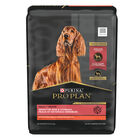 Purina Pro Plan Specialized Sensitive Skin & Stomach Adult, Salmon & Rice image number null