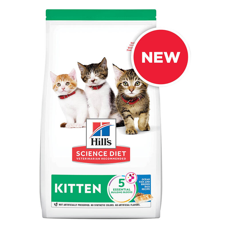 Science Diet, Kitten - Ocean Fish & Brown Rice - Dry Cat Food image number null