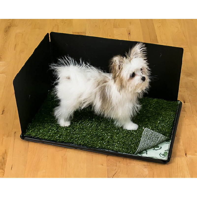 Pooch Pad, Potty - Connectable Tray/Pad w/ Turf & Hike Shield image number null