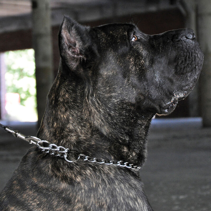 Chain Training Dog Collar, Chrome, 4.0 mm x 28" image number null
