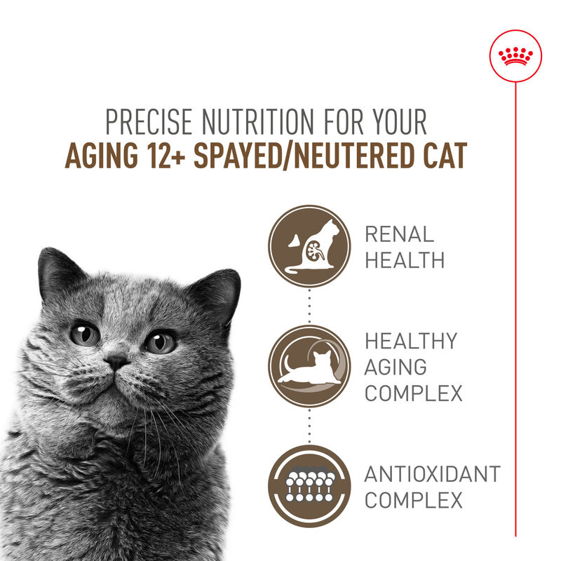 Royal Canin, Feline Health Nutrition Aging Spayed / Neutered 12+ Dry Adult - Dry Cat Food image number null