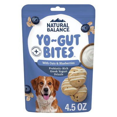 Natural Balance, Yo-Gut Bites Oats & Blueberries &ndash; Dog Treats
