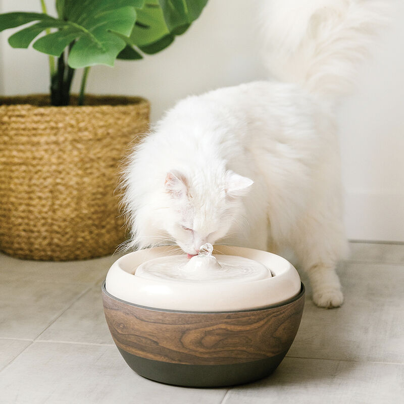 BeOneBreed, BEONE 2.0 Eco Pet Water Fountain image number null