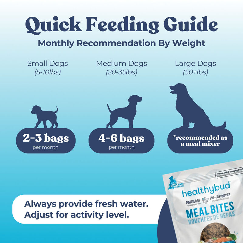 Healthybud, Freeze-Dried Turkey Meal Bites 397g - Freeze Dried Dog Food image number null