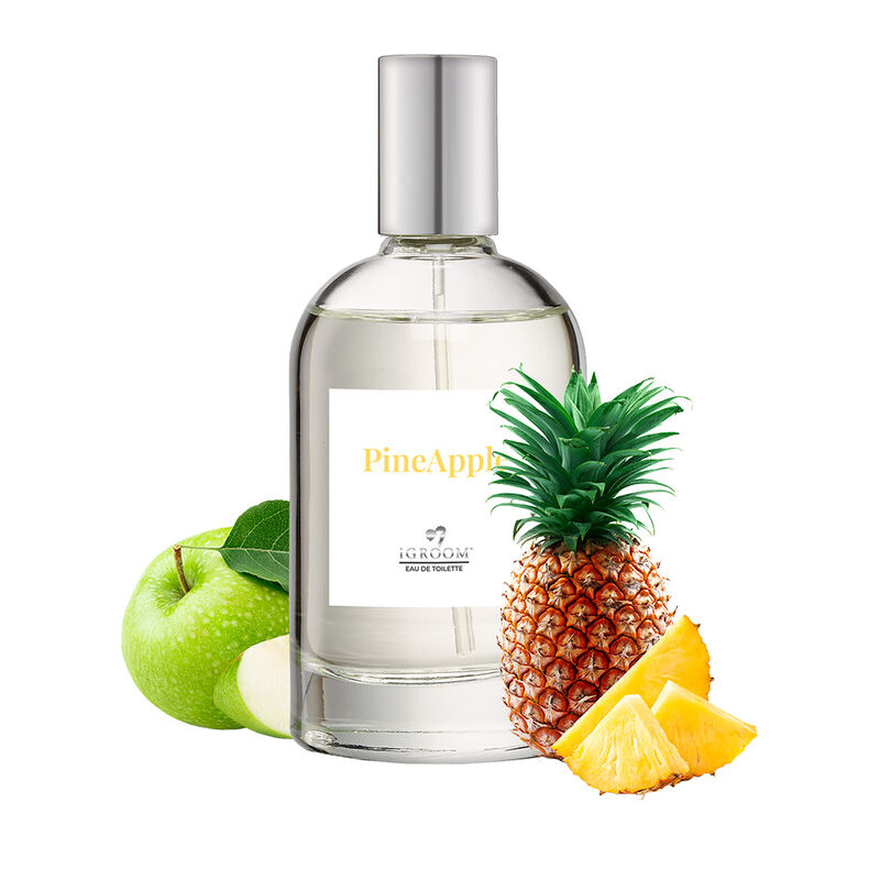 iGroom, PineApple Perfume - 100 ml image number null