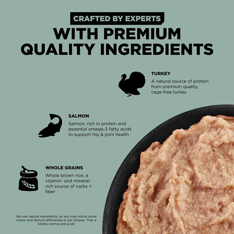 GO! SOLUTIONS, SKIN + COAT CARE Turkey + Salmon P&acirc;t&eacute; for dogs - Wet Dog Food image number null