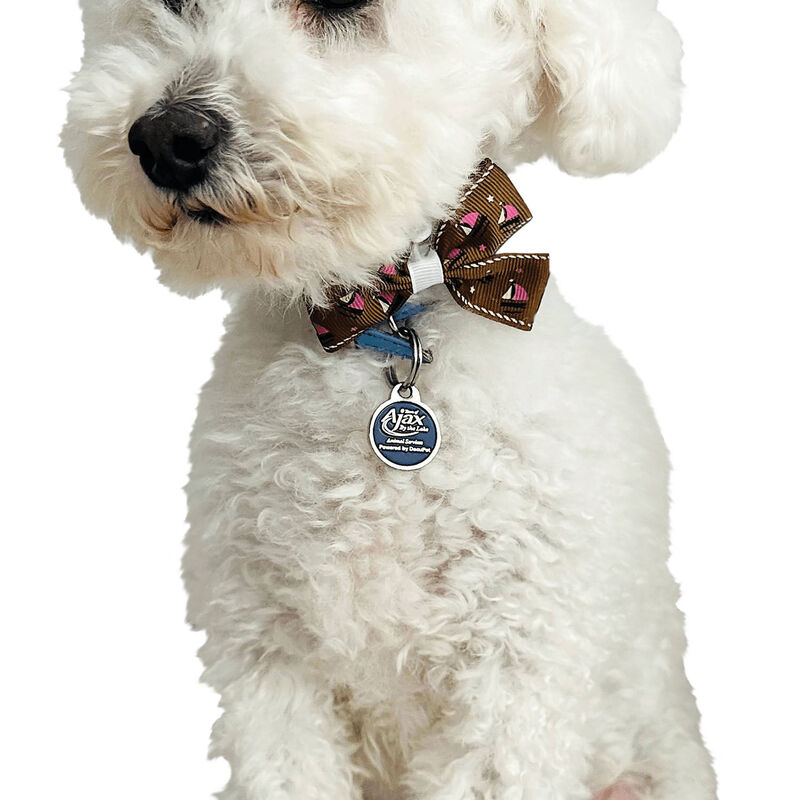 Cozymo Daily Bowties - Assorted 50 pcs image number null
