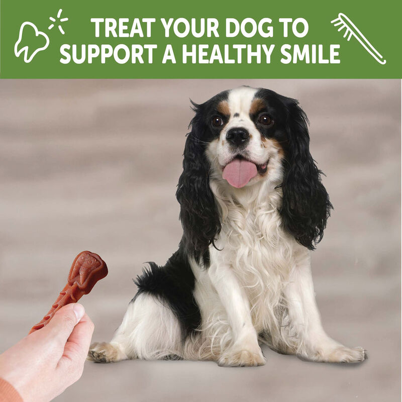 Whimzees, Dental Treat - Value Box - Small Dogs image number null