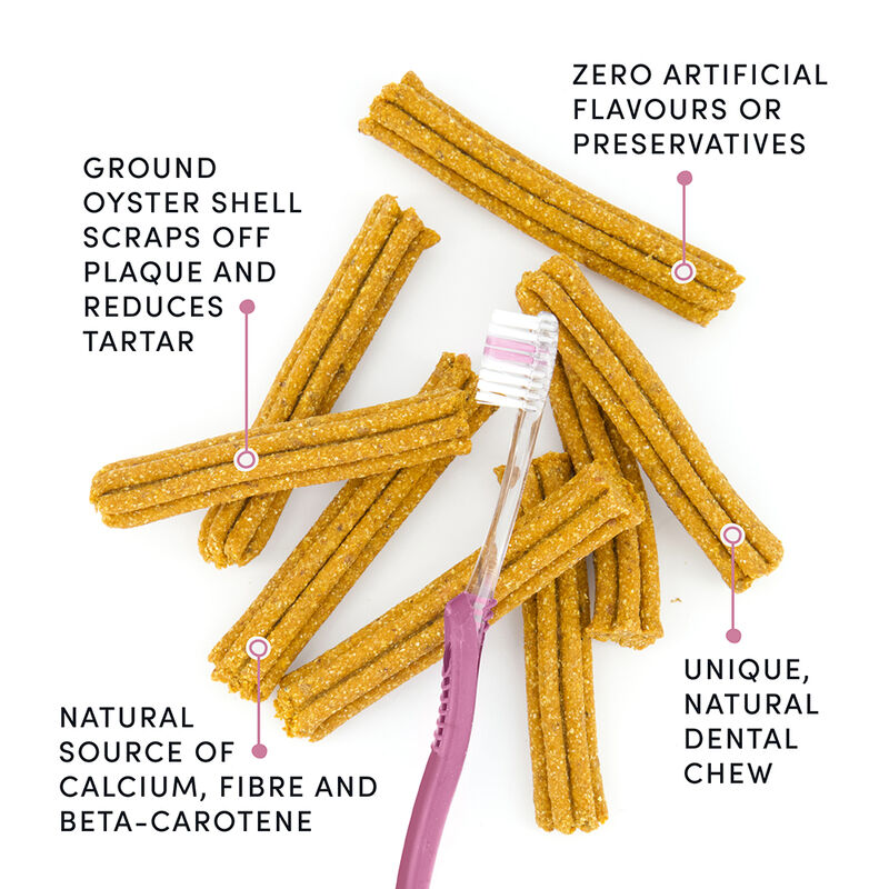 Crumps' Naturals, Plaque Busters Original - 7" - 10pk - Dog Treat image number null