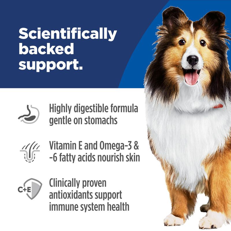 Science Diet, Adult Sensitive Stomach & Skin Chicken Recipe - Dry Dog Food image number null