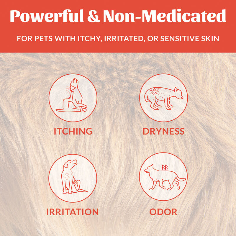 Skouts Honor, Probiotic Itch Relief Shampoo - 16oz image number null