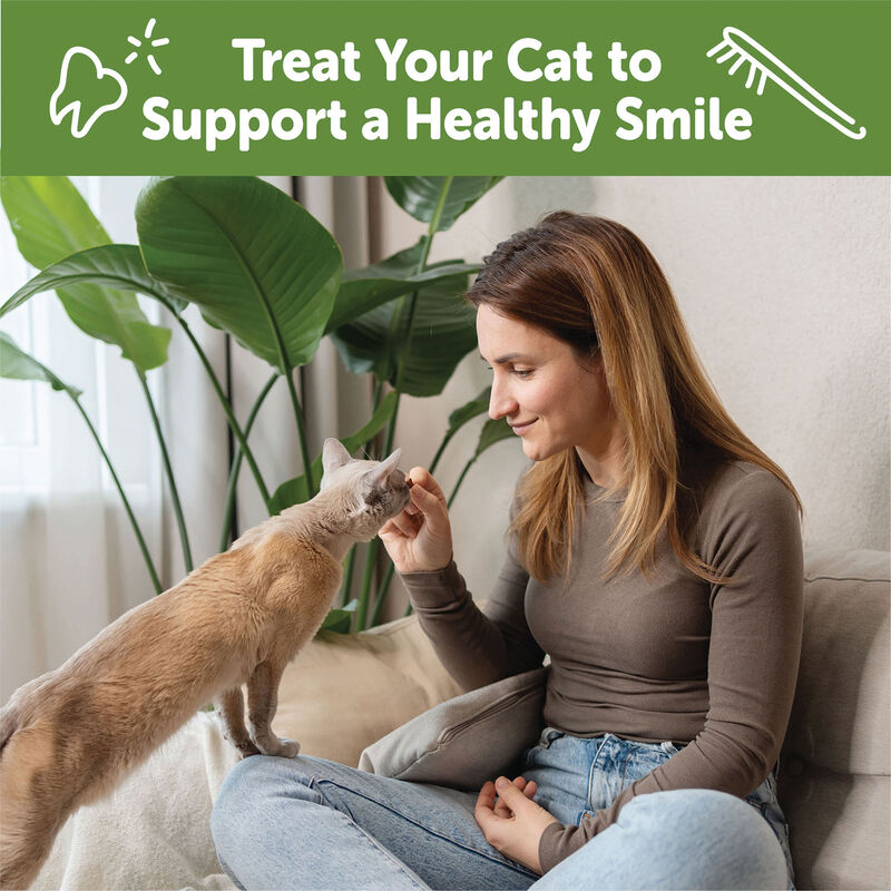 Whimzees, Feline Dental Treats - Chicken & Tuna - 56.69 g image number null