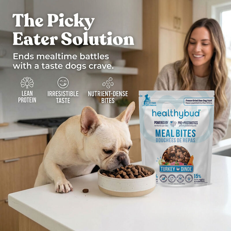 Healthybud, Freeze-Dried Turkey Meal Bites 397g - Freeze Dried Dog Food image number null