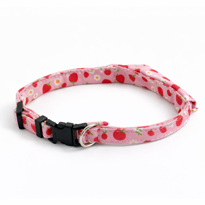 Meow & Woof, Small Dog Shirt Collar image number null