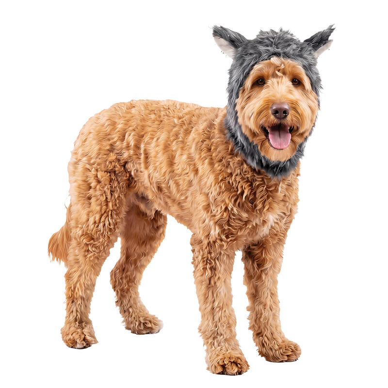 Silver Paw Wolf Hood Dog Costume image number null