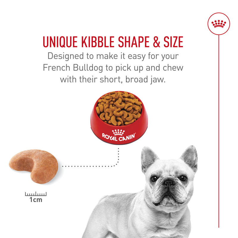 Royal Canin, Breed Health Nutrition French Bulldog Adult - Dry Dog Food image number null