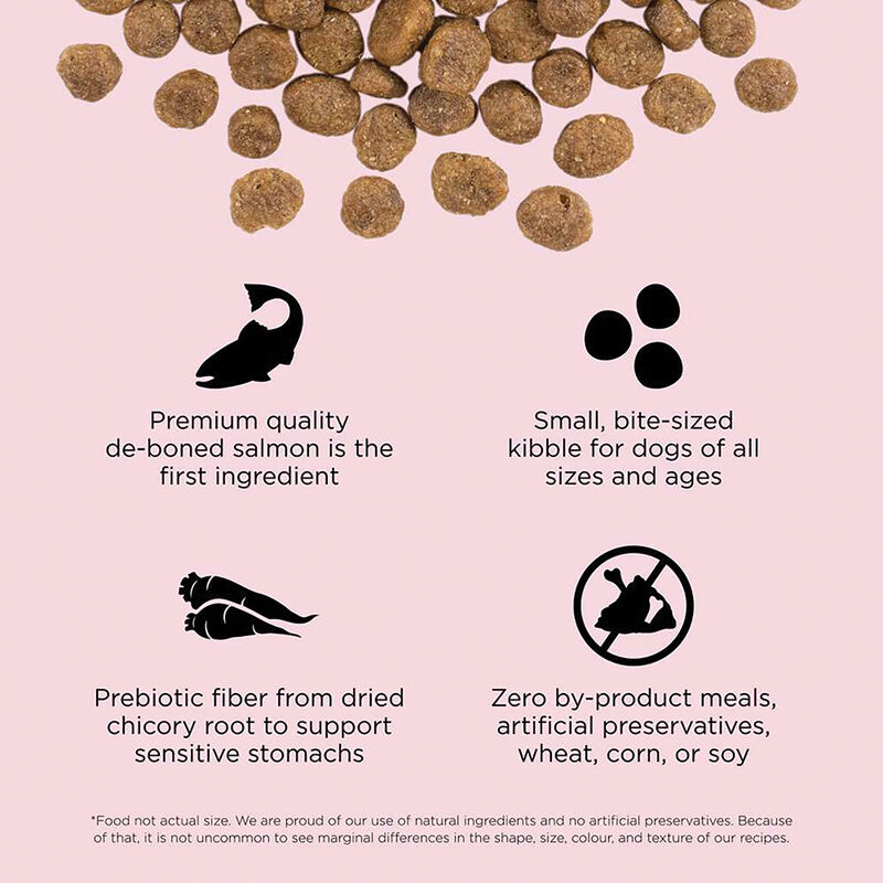 GO! SOLUTIONS, SENSITIVITIES Small Bites Limited Ingredient Grain Free Salmon recipe for dogs - Dry  image number null