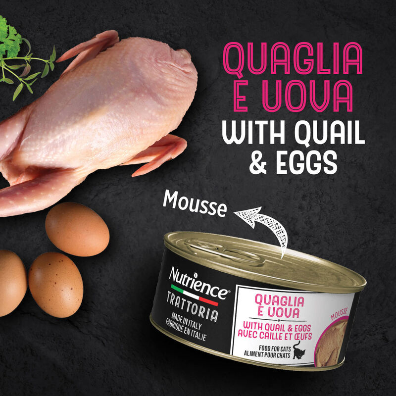 Nutrience, Feline - Trattoria with Quail & Eggs Mousse - Wet Cat Food image number null